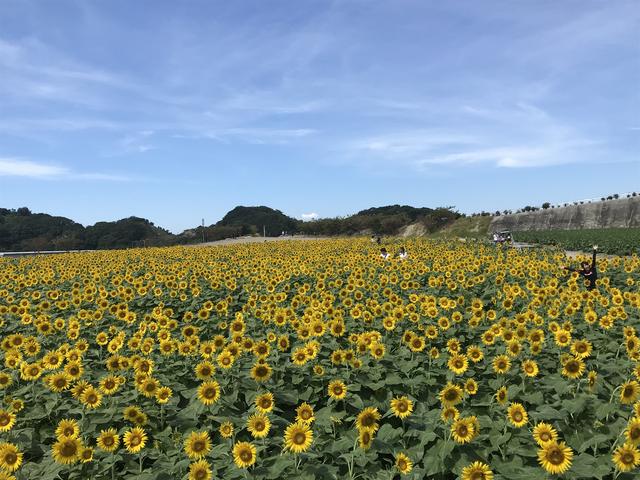 画像6: 有名なお花畑でまさかの⁈⁈