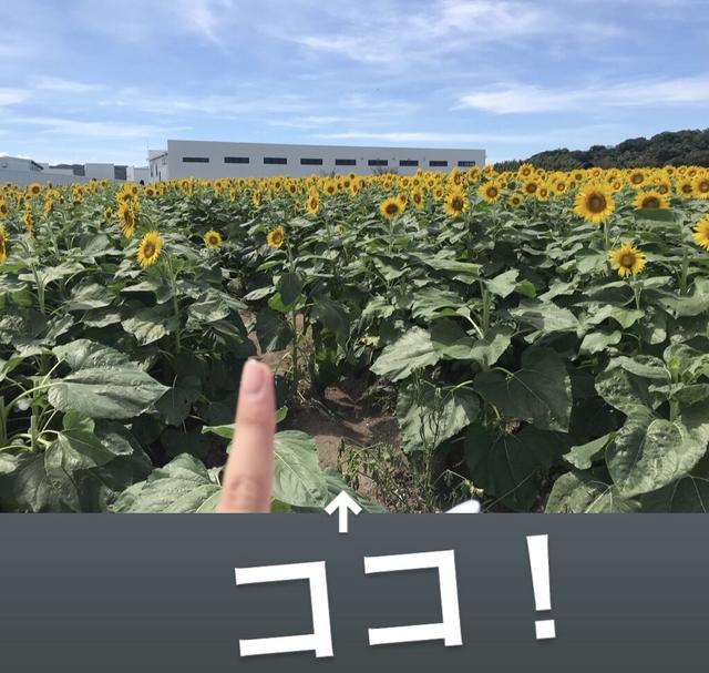 画像8: 有名なお花畑でまさかの⁈⁈
