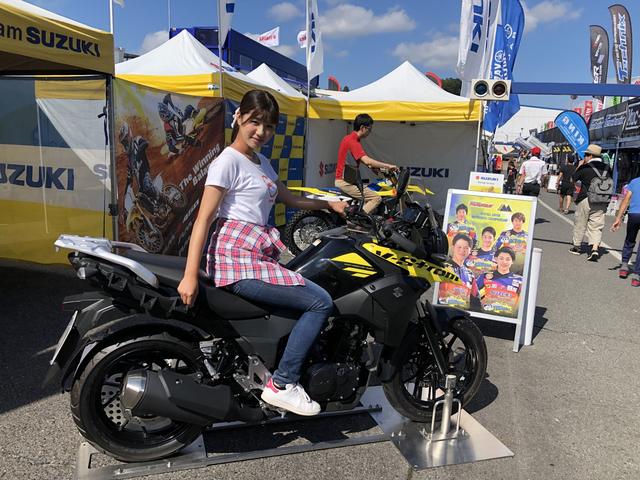 画像2: レースの合間には、パドックも楽しめる!