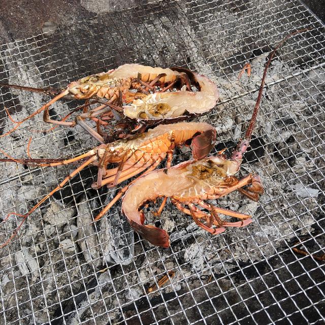 画像2: まだ行きたいところがあるので出発٩(ˊᗜˋ*)و