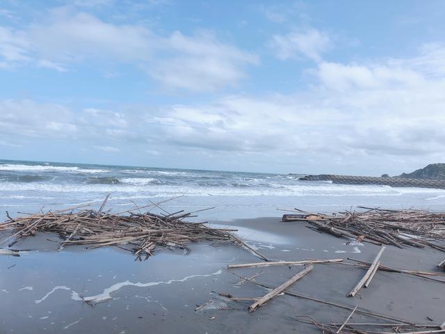 画像: 流木の山だらけ(´・_・`)