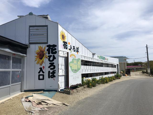 画像2: まず始めに向かったのは【観光農園 花ひろば】です。