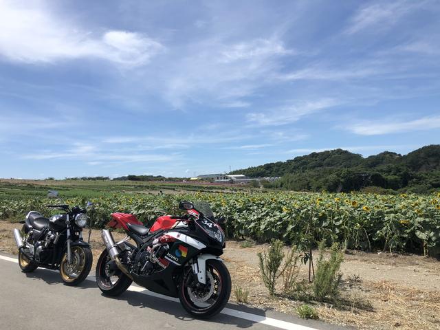 画像1: まず始めに向かったのは【観光農園 花ひろば】です。