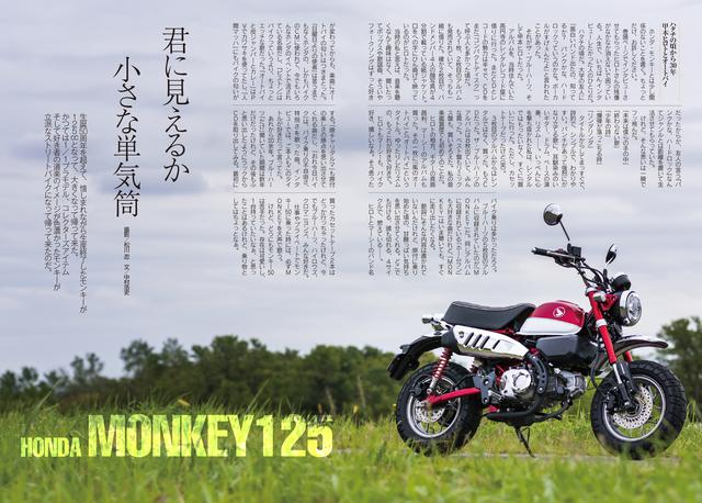 画像2: モデルが「ザ・クロマニヨンズ」の甲本ヒロトさん!!!!!!!