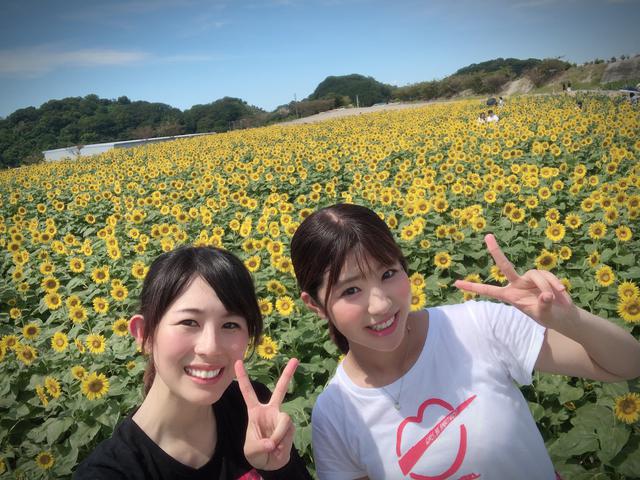 画像7: まず始めに向かったのは【観光農園 花ひろば】です。