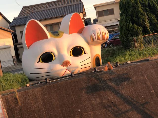 画像1: 最後は【見守り猫 とこにゃん】