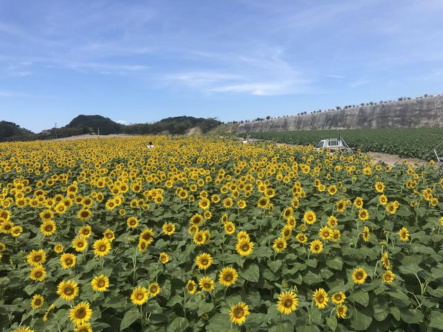 画像: 正解は後ほど…!