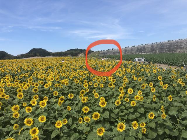 画像: 最後に答え合わせ