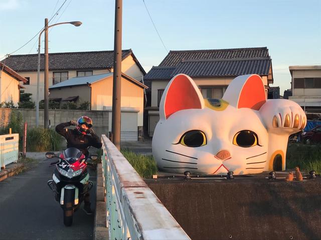 画像2: 最後は【見守り猫 とこにゃん】