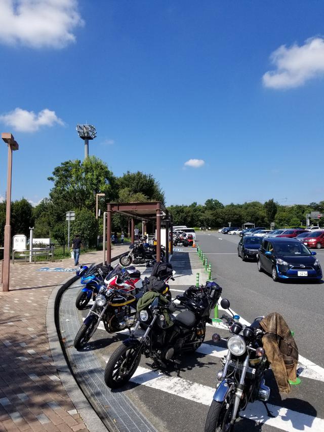 画像: ほどよい日和で走りやすいんだぜ
