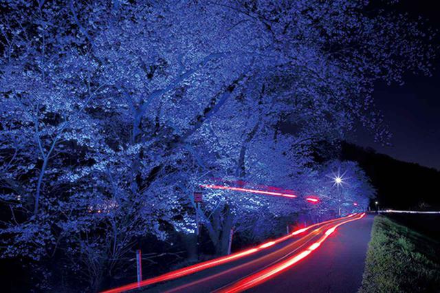画像1: カメラマン 2020カレンダーシリーズ 13 川北茂貴 「光の跡 Light Trails」