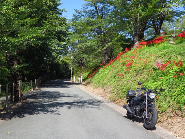 画像10: 街でよく見かけるレブル、だけどじつはロングツーリングも得意だった?