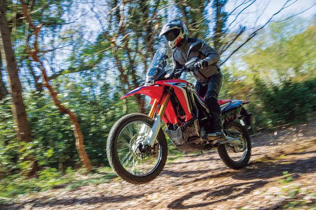 画像: ホンダ CRF250 ラリー