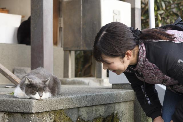 画像15: ついに念願の「江の島」に行くことができました! …が!