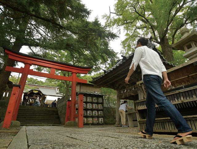 画像: 玉前神社は、周りの土地よりそこだけが一段高くなっています。もしかしたら神社が建つ前の古代から、祭事や祈りの場だったのかもしれません。そんなことを考えながら、社殿へと参道を歩いていきます。
