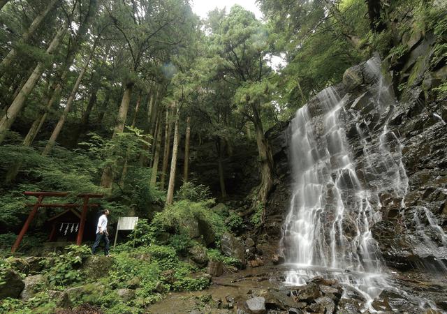 画像: 母の白滝