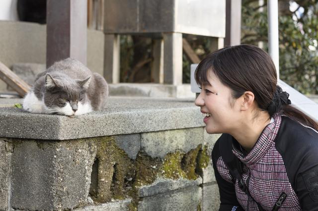 画像4: 目指せ!ライダーに大人気の江の島!