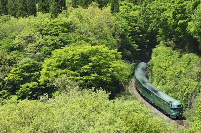 画像: ■ 200mm 絞りF8 1/1250 秒 ISO400 ※ 2019 年5 月5 日11 時24 分撮影