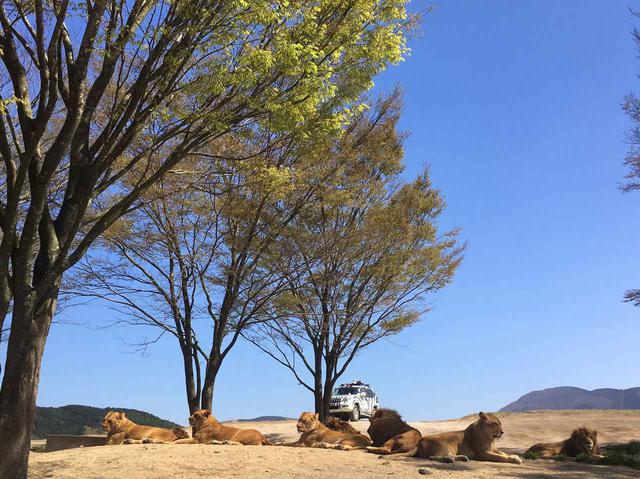 画像9: 福山理子の大分ツーリング〈番外編〉バイクに乗っていない時間も旅先を楽しむ。それが、あたし流!
