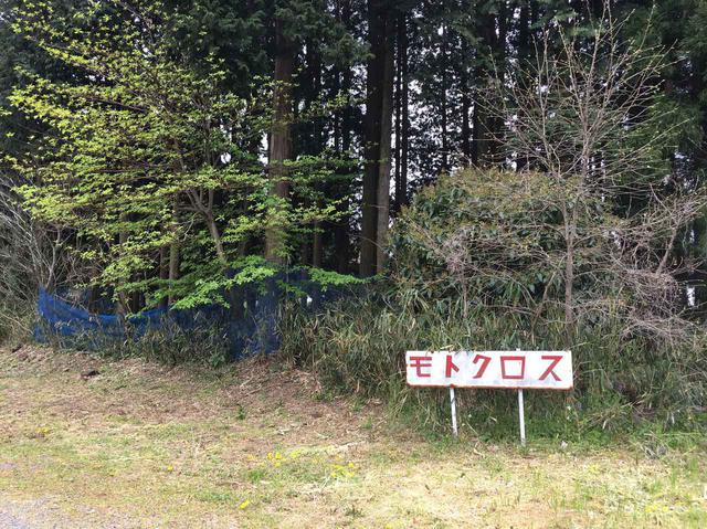 画像4: 福山理子の大分ツーリング〈番外編2〉長湯温泉「ラムネ温泉館」と猫ちゃんが案内してくれる美術館が最高!