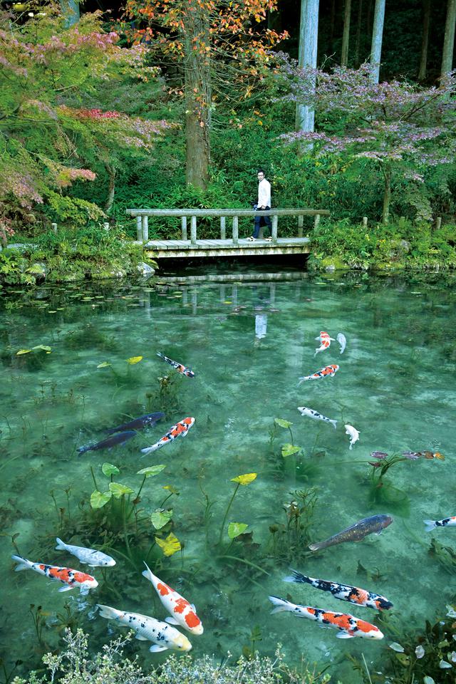 画像: 名もなき池(モネの池) この地域には白っぽい岩が多く、いろいろな条件が重なり池底には白い砂だけが残ったそうです。それにより、元々の水の綺麗さも相まって、この景観になったとか。そこへ地域の人が植物を植えるなどして、いつしかモネの池と呼ばれるようになったそうです。