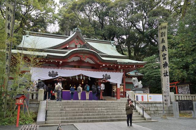画像: 來宮神社 静岡県熱海市西山町43-1 日本有数の観光地である静岡県熱海市に鎮座する來宮神社。古くから来宮大明神と称し、熱海の地主の神であり、来福・縁起の神様として信仰を集め、全国から大勢の参拝者が訪れます。