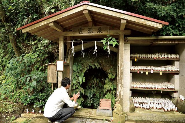 画像: 観光客で賑わう鎌倉駅から、約1.5㎞のところ。さっきまでの人混みが嘘のように、静まり返った場所に着きました。突如現れるのは、山へと続く無数の鳥居。それをくぐり歩いていくと、深い緑の中へ。観光地にある神社に居るとは思えない空間です。