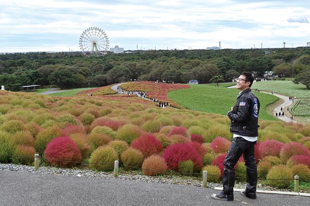画像: ひたち海浜公園 茨城県ひたちなか市馬渡字大沼605-4