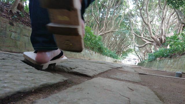 画像: 長い参道の両脇には、樹齢300年を超える木々がトンネル状になっていて、はるか向こうに社殿が見えます。歩いていても、聞こえてくるのは自然の音だけ。掃き清められた地面から、この神社を大切に守っている地域の人や神職たちの想いが伝わってきます。