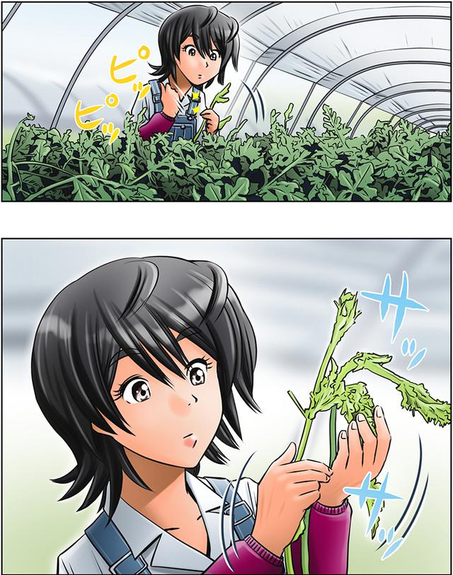 画像2: 頑張れ、みのりちゃん! そう思うこと必至の第11話が2月に入り公開