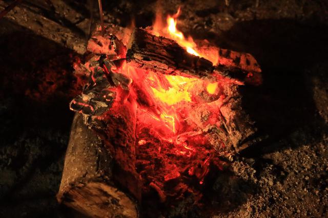 画像3: 【まとめ】冬場はいかに「加温」できるかがポイントになる!