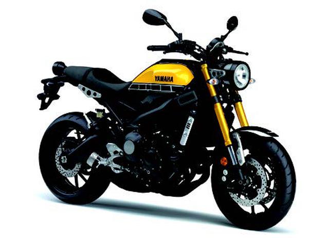 画像: ●水冷4ストDOHC4バルブ並列3気筒●847cc●115PS/10000pm●8.9kg-m/8500rpm●195kg●120/70ZR17・180/55ZR17●輸出車
