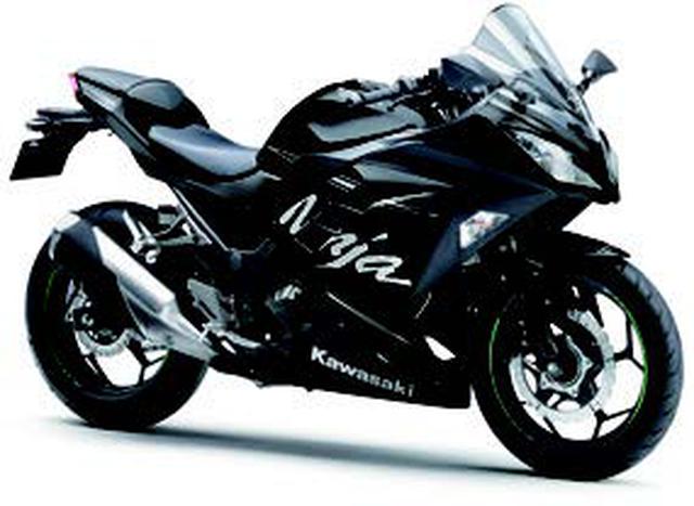 画像: ●水冷4ストDOHC4バルブ並列2気筒●248cc●31PS/11000rpm●2.1kg-m/8500rpm●174kg●110/70-17・140/70-17●64万1520円
