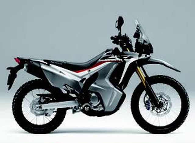 画像2: ●水冷4ストDOHC4バルブ単気筒 ●249cc ●24PS/8500rpm ●2.3kg-m/6750rpm ●155/157kg ●110/70-17・150/60-17 ●64万8000円/70万2000円