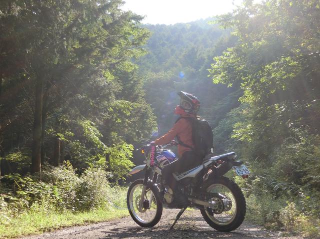 画像: インプレ用にお借りしたセローで初めての林道へ。バイクっていろんな世界があるから面白い!