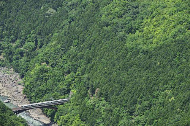 画像: ■ 150mm 絞りF8 1/1000 秒 ISO400 ※ 2019年6月4日13時24分撮影