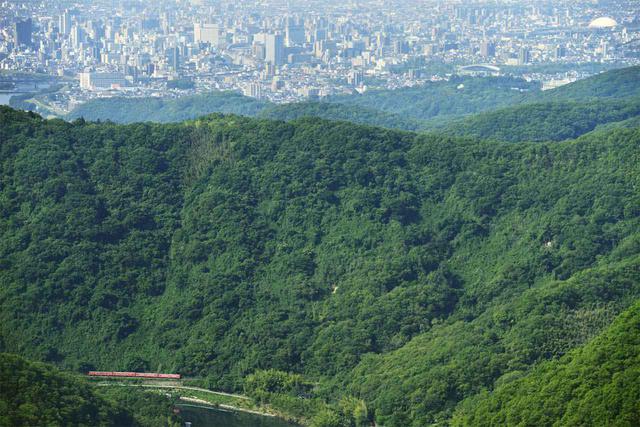 画像: ■ 185mm 絞りF8 1/500 秒 ISO400 ※ 2019年6月6日8時23分撮影