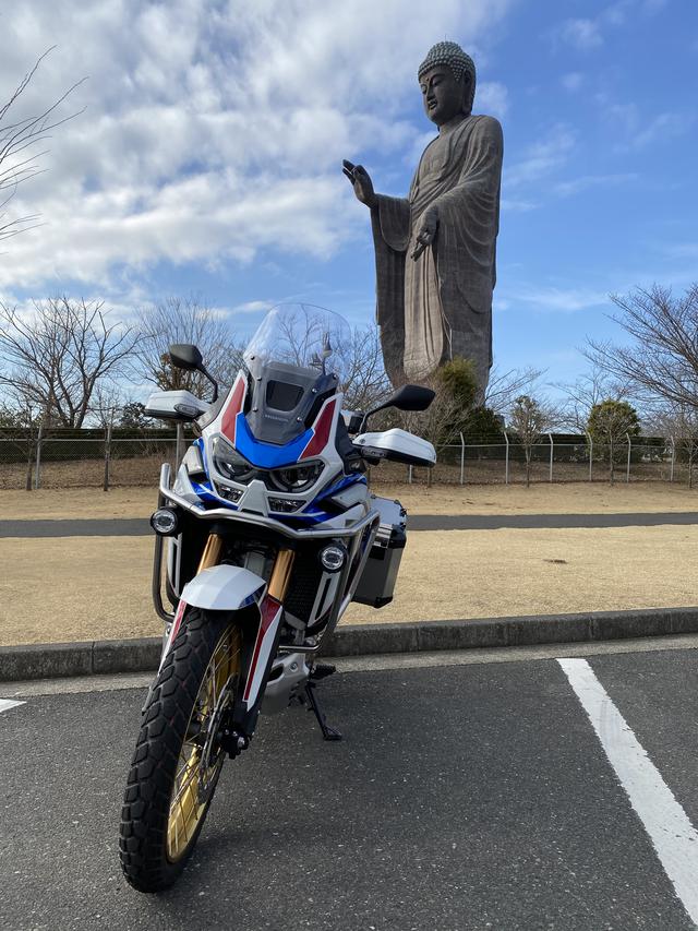 画像1: よく名前を聞くアフリカツイン。