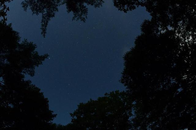 画像: 天の川はよくわからなかったけど、星はきれいでした。