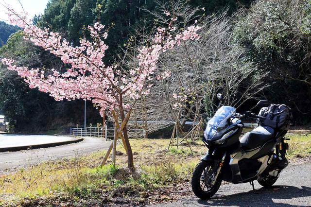 画像1: 「RIDE」は90年代の車両を徹底特集、保存版の「国産車総図鑑」も読み応えたっぷり!