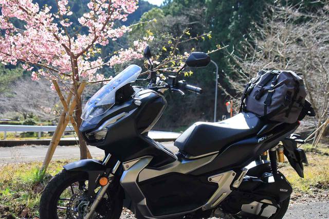 画像3: ⑩ 総じて「旅の相棒」感が強い!
