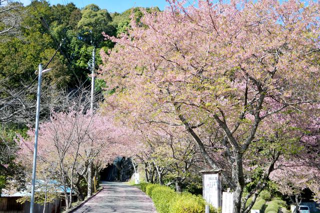 画像: 奥にあるのがトンネル。豊橋鉄道 田口線(廃線)で使っていたものだとか。