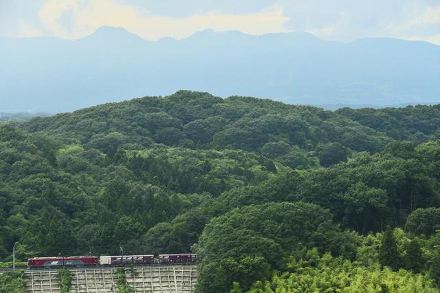 画像: ■120mm 絞りF8 1/800秒 ISO1600 ※2019年8月1日15時28分撮影