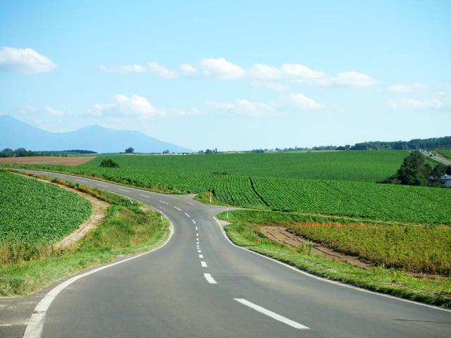 画像2: ① 北海道「美瑛の丘風景」