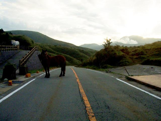 画像2: 新型コロナが終息したら、絶対に行きたい「日本の絶景 バイクツーリング・スポット」10選!
