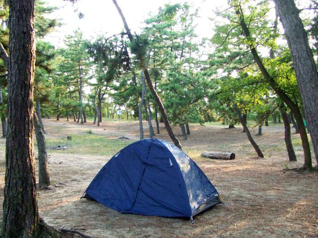 画像: 鳥取砂丘のそばにある無料のキャンプサイト「柳茶屋キャンプ場」。