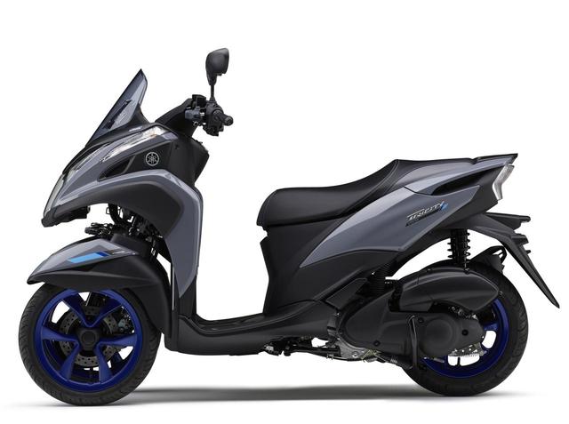 画像4: ブルーイッシュグレーソリッド4(グレー)2020ニューカラー