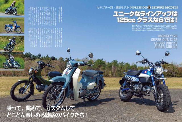 画像: カブをはじめ、ファンモデルも詳解!