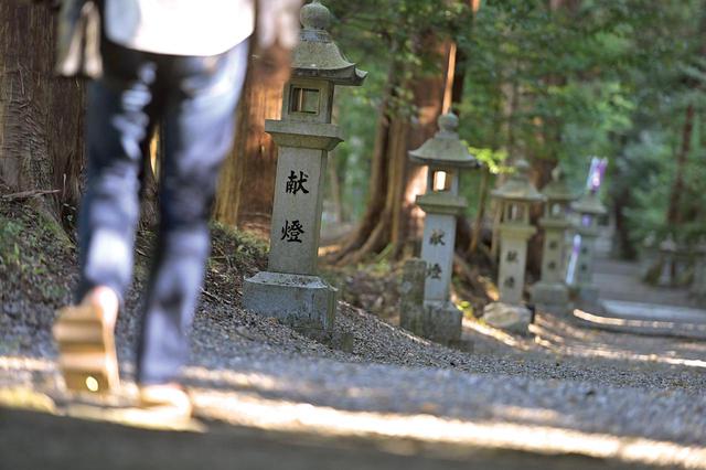 画像: 全国の神社を巡っていると、まるでお寺のような神社に出会えることがあります。歴史もあり、広大な境内を有しているのに、無人で参拝者もほとんどいない。 大勢の人で賑わう有名神社にスポットが当たりがちですが、まだまだ全国には、ここのように知っていただきたい神社が多くあります。