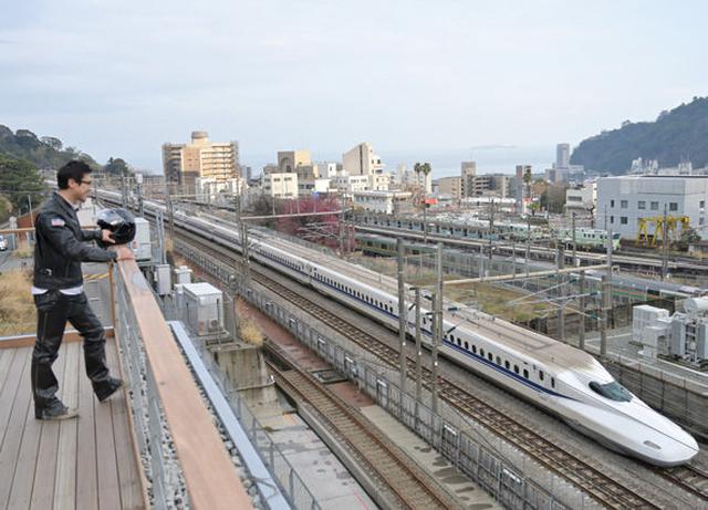 画像: 梅園の“結び葉”